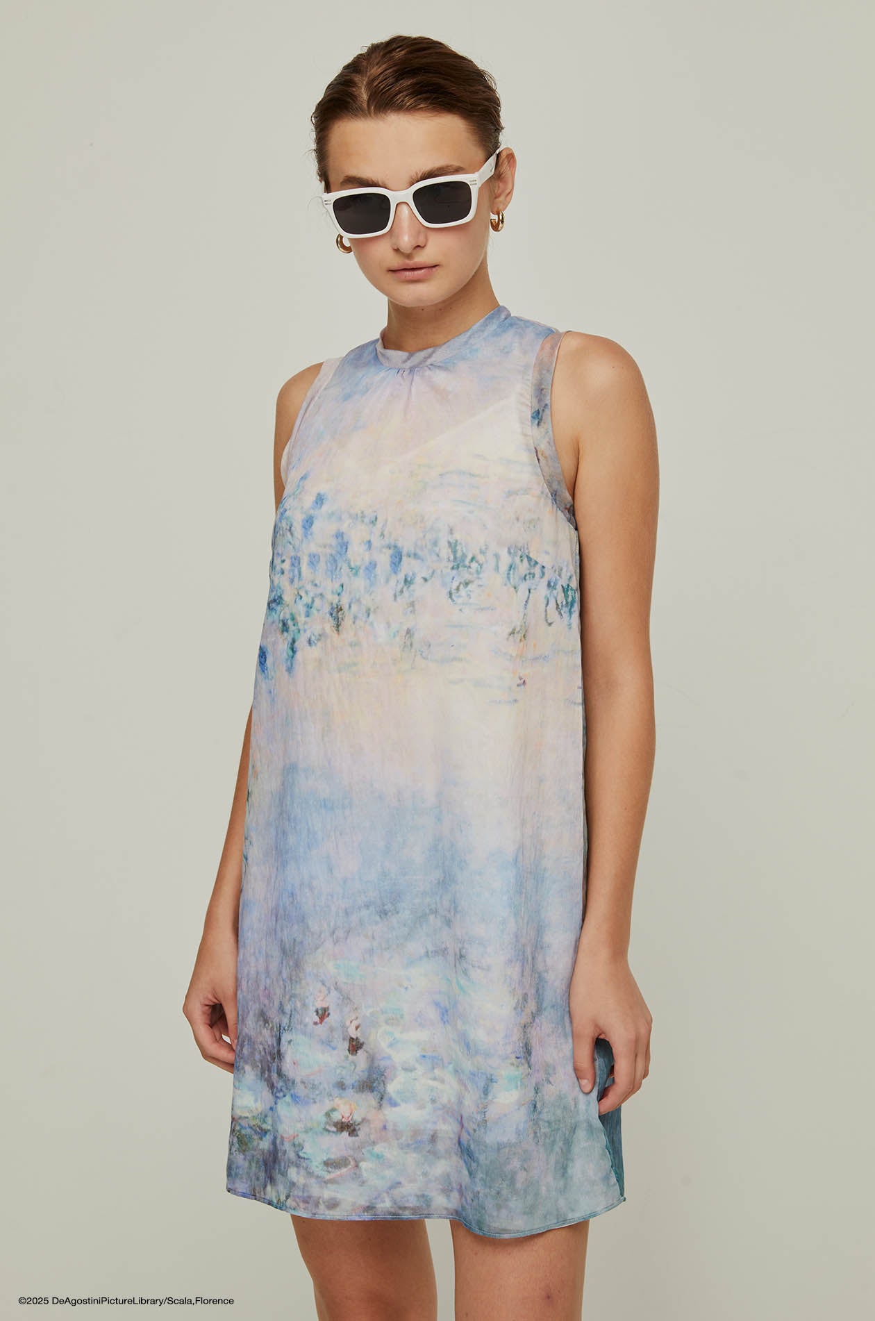WATER LILIES MONET SHIFT DRESS