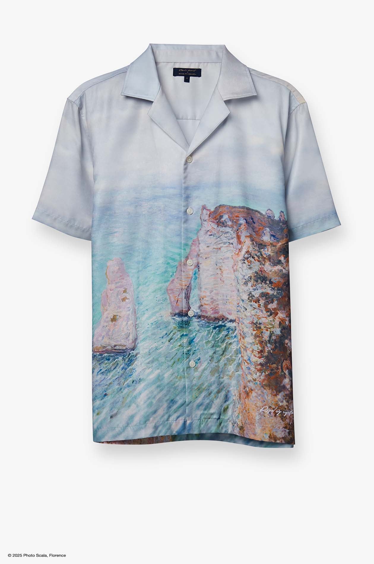 THE ROCK NEEDLE PRINTED SHIRT