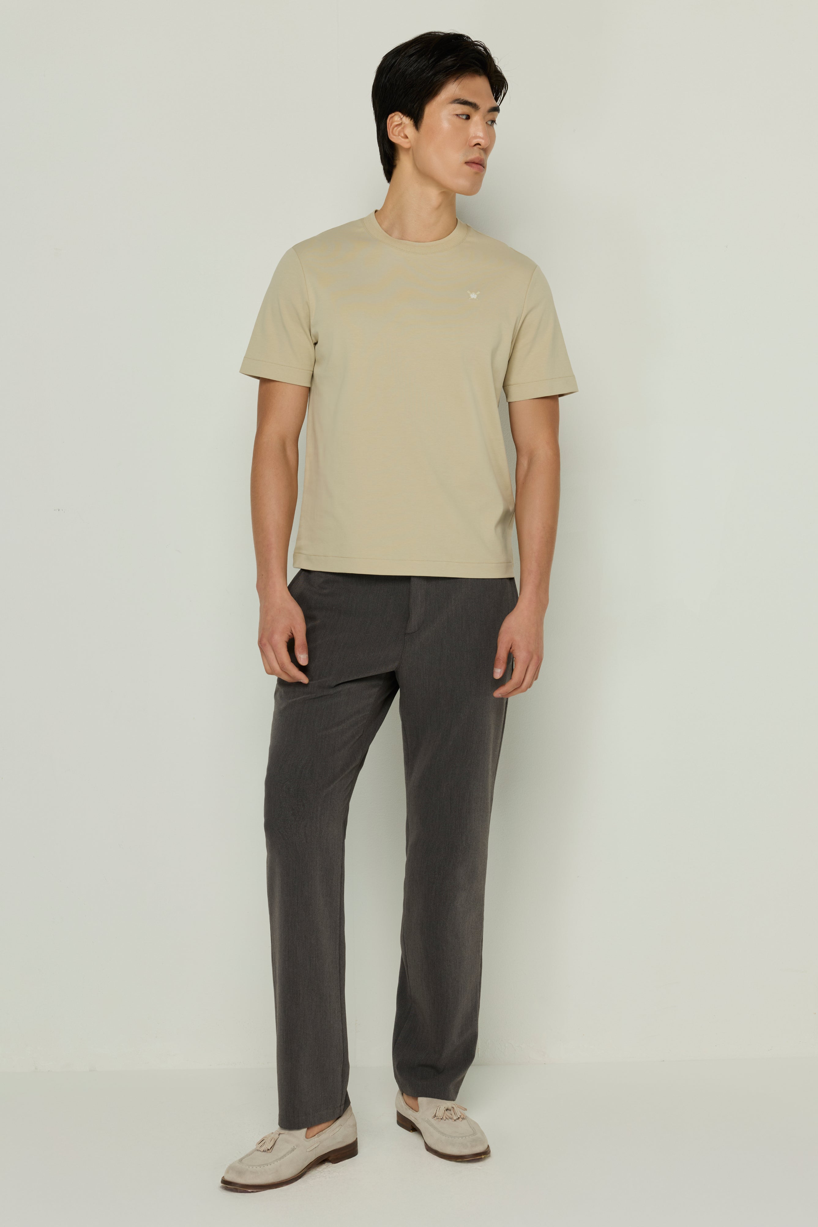 COTTON T SHIRT ENTERPRISE LIMITED